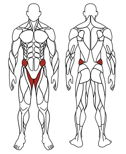 СТ 015 Хипс.JPG